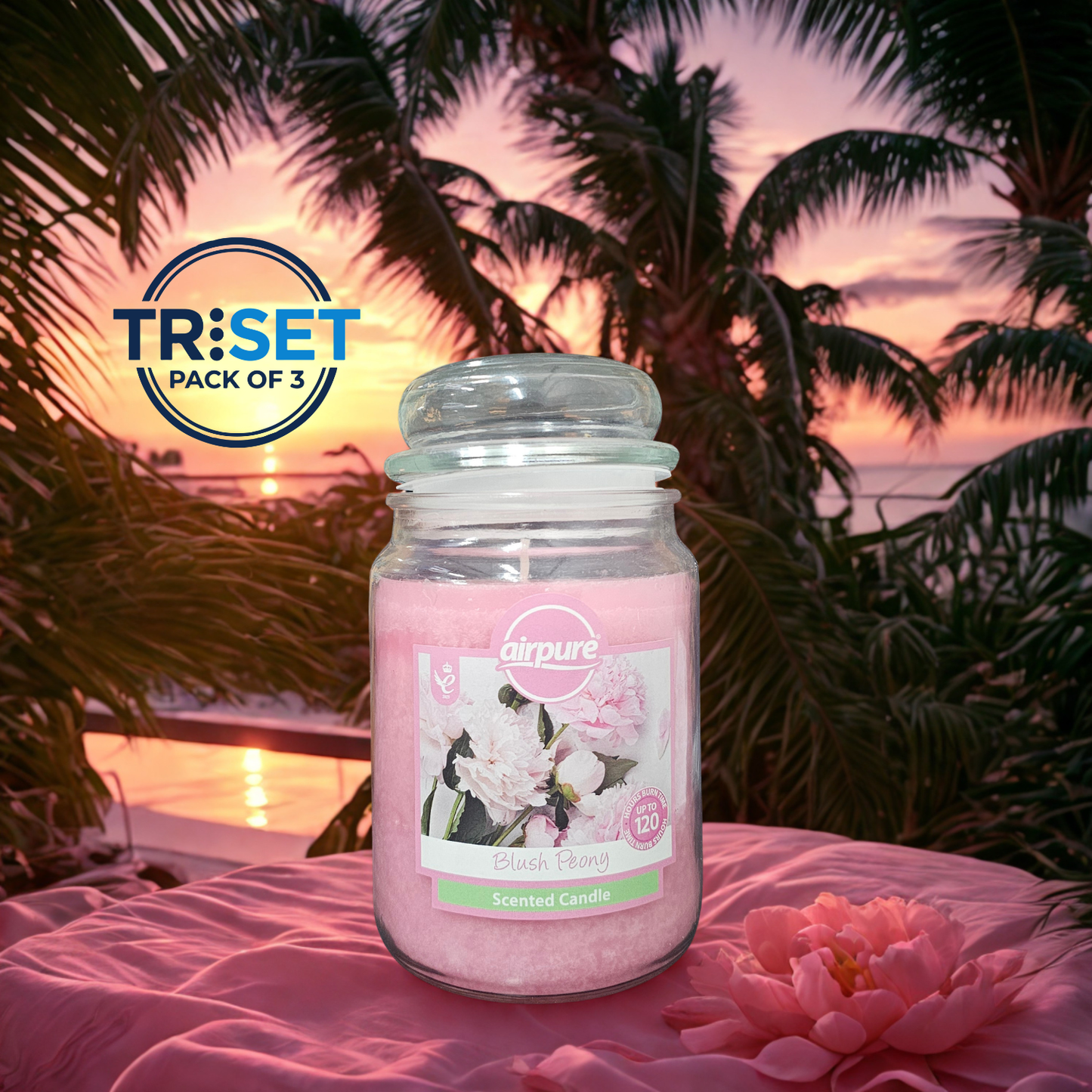 Airpure Blush Peony Scented Candle 510g Jar 120hr Burn Pack of 3 TRISET Gift Decor