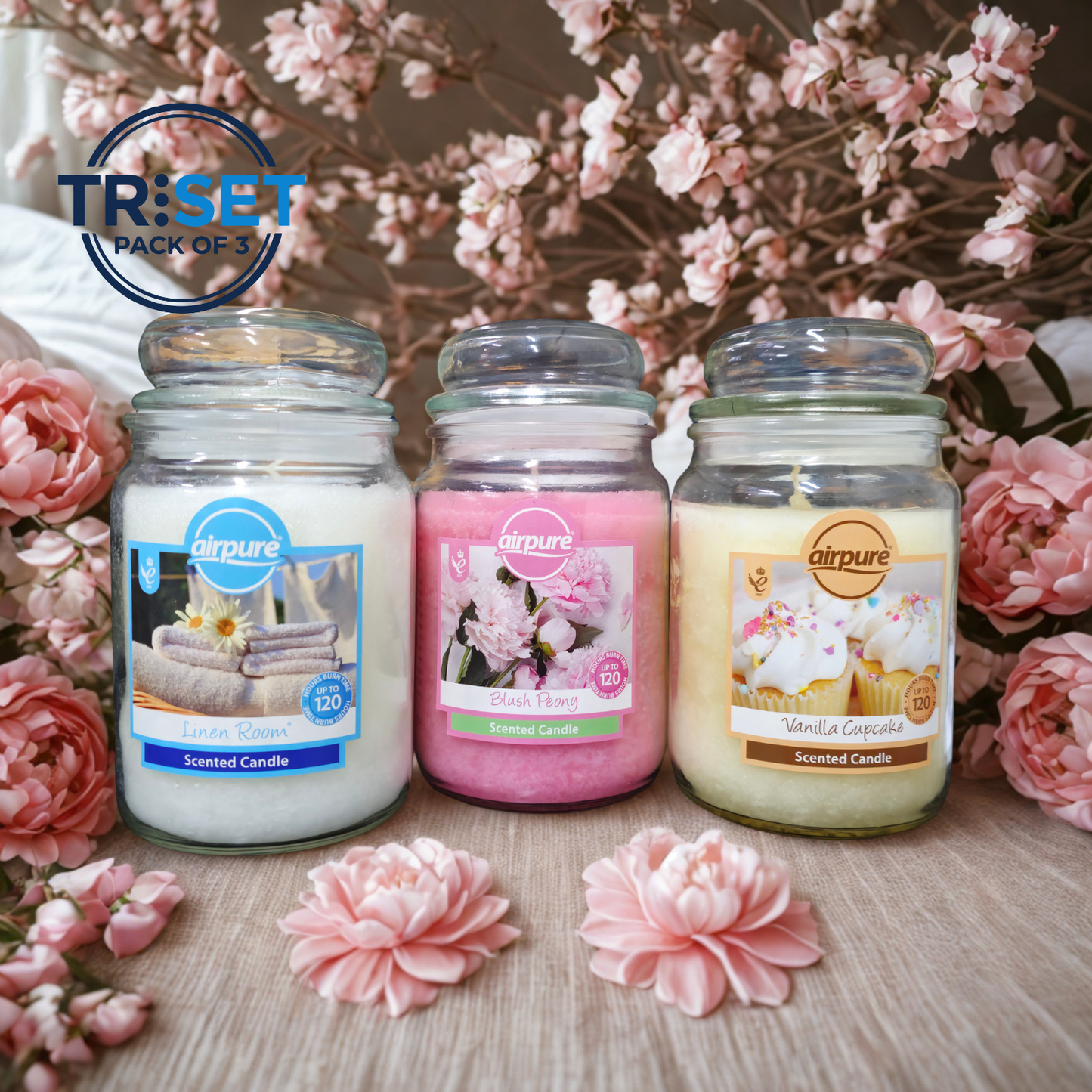 Airpure Scented Candle Jar 510g Fragnance Mixed TRISET Gift Decor Home Bundle