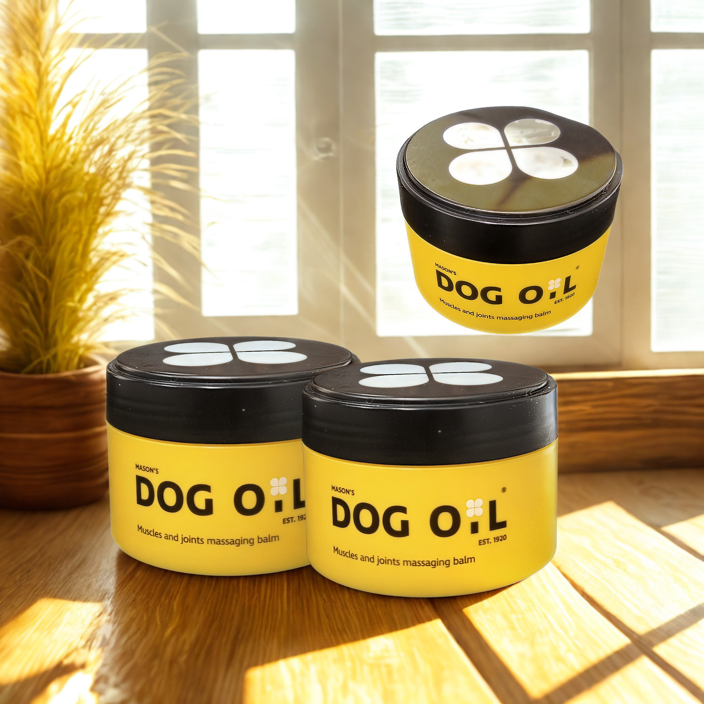 Mason's Dog Oil 100ml Pack of 3 Triset Muscle Joint Massaging Balm Relief Massage